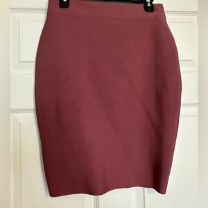 NWOT chocolate Brand skirt